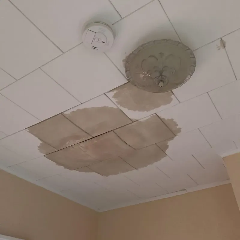 Ceiling Water Damage Repair in Vonore, TN