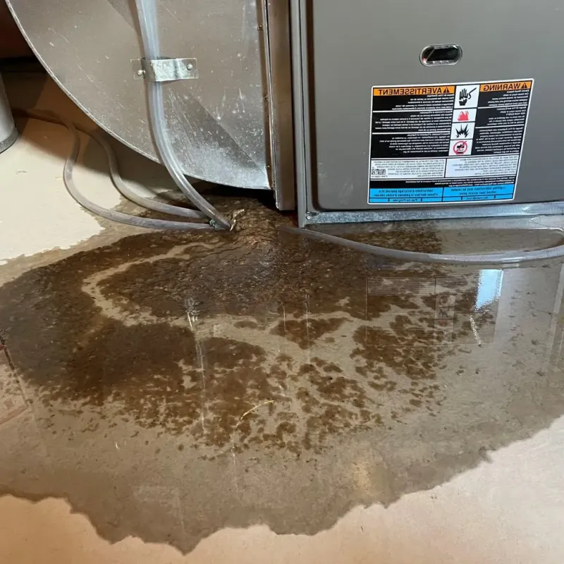 Pipe Burst and Leak Restoration in Vonore, TN